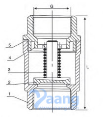 Vertical Check Valve Drawing