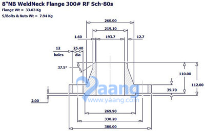 ASME B16.5 WNRF Flange 8 Inch S/80S CL300
