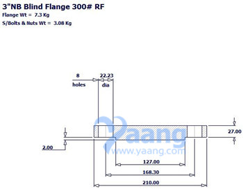 Blind Flange RF 3 Inch CL300