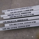 316L Stainless Steel Angle Bar AN 7550