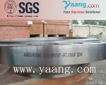 AISI 304 Stainless Steel Flange