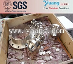 ASTM A182 F304 Stainless Steel Flange