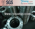 ASTM  F316L stainless flange