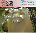 ASTM SS316 Stainless Steel Flange