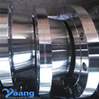 DN250 Sch40s CL150 A182 F316L Forged Stainless Steel WN RF Flanges