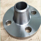 Forged Asme A182 F316 Stainless Steel Weld Neck Flange