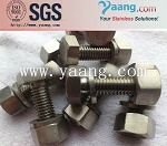 Inconel 600 Special Alloy Fasteners Bolt and Nut