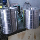 JIS 10K A182 Stainless Steel F317L Flanges