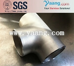 S32760/F55/1.4501 Super Duplex steel Tee pipe fittings reducing and equal