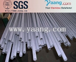 SAF 2205 Stainless Steel Pipe/ Seamless and Welded