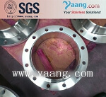 Stainless Steel 1.4401 flange