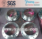 Stainless Steel 1.4541 flange