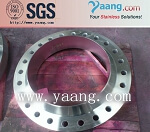 Stainless Steel ASTM B16.5 Flange DN200 WN RF