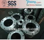 Stainless Steel ASTM B16.5 SO WN RF Flange