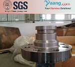 Stainless Steel Customized Forged Flange