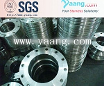 Stainless Steel Flange Class 150# 300# 600# 900# 1500#