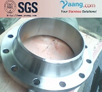 Stainless Steel Weld-Neck Flange 304L
