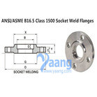 ANSI/ASME B16.5 Class 1500 Socket Weld Flanges