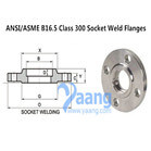 ANSI/ASME B16.5 Class 300 Socket Weld Flanges