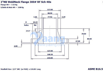 ASME B16.5 WNRF Flange 3 Inch S/40S CL300