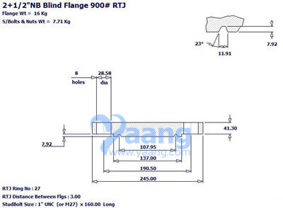 Blind Flange RTJ 2.5 Inch Cl900