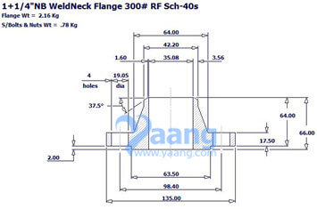 WNRF Flange 1 1/4 Inch SCH40S CL300