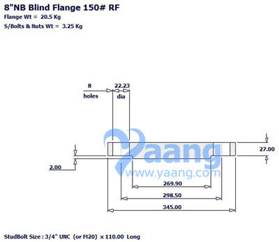 Blind Flange RF 8 Inch CL150