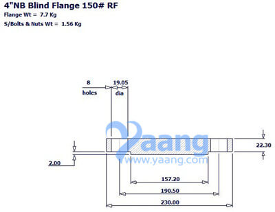 Blind Flange RF 100NB CL150