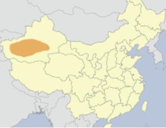 The new pipeline is located in the orange area of Tarim Basin, Xinjiang, China