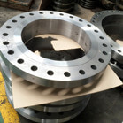 304 321 Stainless Steel Weld Neck Flange