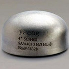 ANSI stainless steel pipe cap