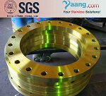 ASTM A694 F52 Steel Flanges
