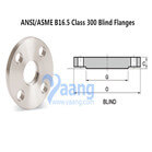 ANSI/ASME B16.5 Class 300 Blind Flanges
