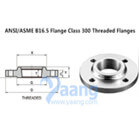 ANSI/ASME B16.5 Flange Class 300 Threaded Flanges