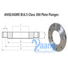 ANSI/ASME B16.5 Class 300 Plate Flanges