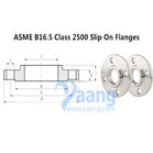 ANSI/ASME B16.5 Class 2500 Slip On Flanges