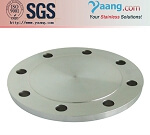 stainless steel 321H flanges